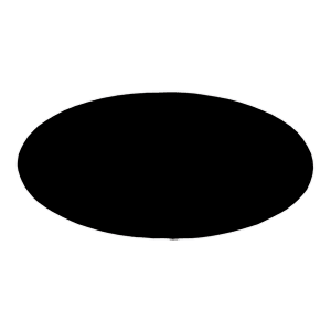 3″ x 1 1/2″ Black/White Oval Plastic Badge Blank