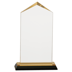 3 1/2″ x 7 1/2″ Gold Jewel Impress Acrylic