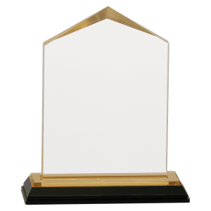 3 1/2″ x 5 1/2″ Gold Jewel Impress Acrylic