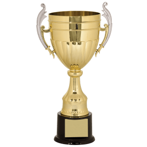 16 3/4″ Gold/Silver Plastic Completed Cup Trophy