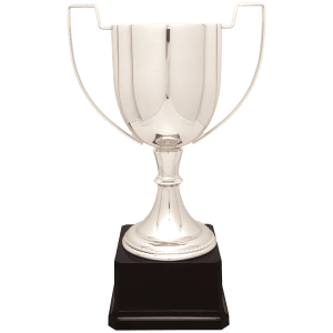 13″ Silver Completed Zinc Cup Trophy on Plastic Base