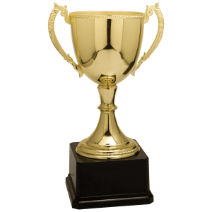 11″ Gold Completed Zinc Cup Trophy