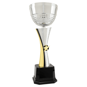 16 1/2″ Silver/Gold Textured Completed Metal Cup Trophy