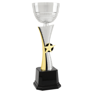 11 3/4″ Silver/Gold Textured Completed Metal Cup Trophy