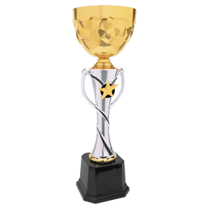 16″ Silver/Gold Completed Metal Cup Trophy