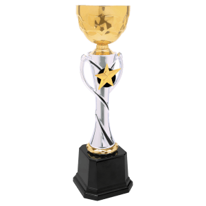 12 1/4″ Silver/Gold Completed Metal Cup Trophy