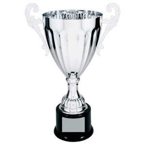 13 1/4″ Silver Completed Metal Cup Trophy on Plastic Base