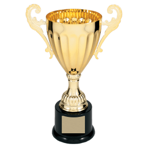9 3/4″ Gold Completed Metal Cup Trophy on Plastic Base