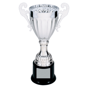 8 3/4″ Silver Completed Metal Cup Trophy on Plastic Base
