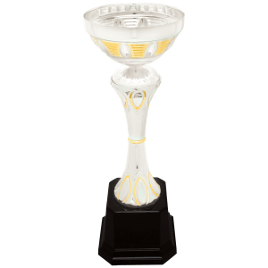 10 3/4″ Silver/Gold Completed Metal Cup Trophy on Plastic Base