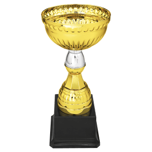 8″ Gold & Silver Metal Cup with Plastic Stem and Base
