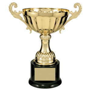 9 3/4″ Gold Completed Metal Cup Trophy on Plastic Base