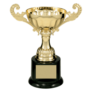 6 1/2″ Gold Completed Metal Cup Trophy on Plastic Base