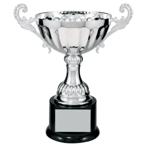 9 3/4″ Silver Completed Metal Cup Trophy on Plastic Base