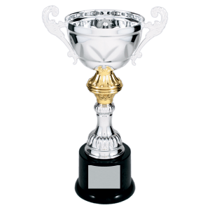 10″ Silver Completed Metal Cup Trophy on Plastic Base