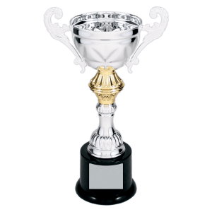 8 3/4″ Silver Completed Metal Cup Trophy on Plastic Base