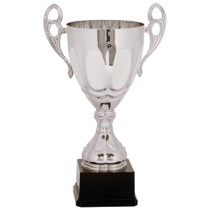 15 3/4″ Silver Completed Metal Cup Trophy on Plastic Base