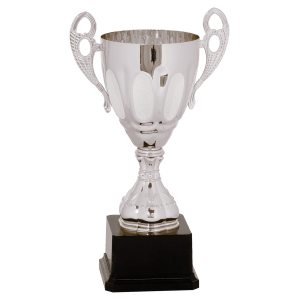 11″ Silver Completed Metal Cup Trophy on Plastic Base