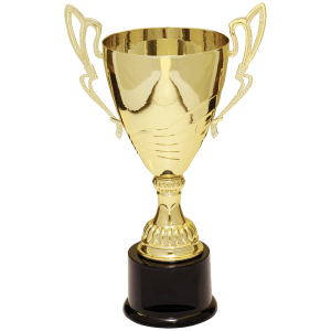 12″ Gold Completed Metal Cup Trophy on Plastic Base
