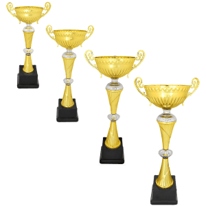 Gold/Silver Completed Metal Cup Trophy Sample Set