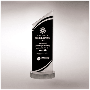3 1/2″ x 9 3/8″ x 3/8″ Thick Zenith Series Black Silkscreened Glass with Frosted Accents, Heave Aluminum Base