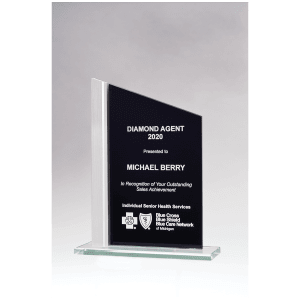 6 1/8″ x 9 3/4″ Zenith Series Black Silkscreened Glass with Brushed        Aluminum