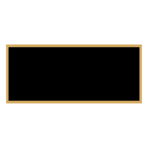 1″ x 2 1/4″ Black Laserable Brass Plaque Plate with Gold Border