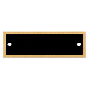 1″ x 3 1/4″ Black Plate with Gold Border and Two Holes