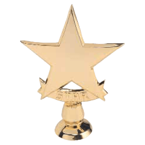 5 1/2″ Gold 5 Point Star Casting with Stud