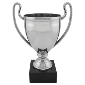 10 1/4″ Completed Silver Plastic Cup with Black Marble Base