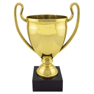 10 1/4″ Completed Gold Plastic Cup with Black Marble Base