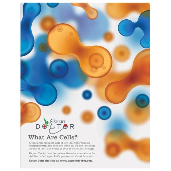 11″ x 14″ Matte White ChromaLuxe Aluminum Photo Panel