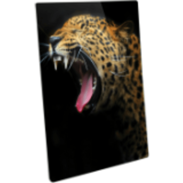 16″ x 20″ Semi-Gloss White ChromaLuxe Aluminum Photo Panel