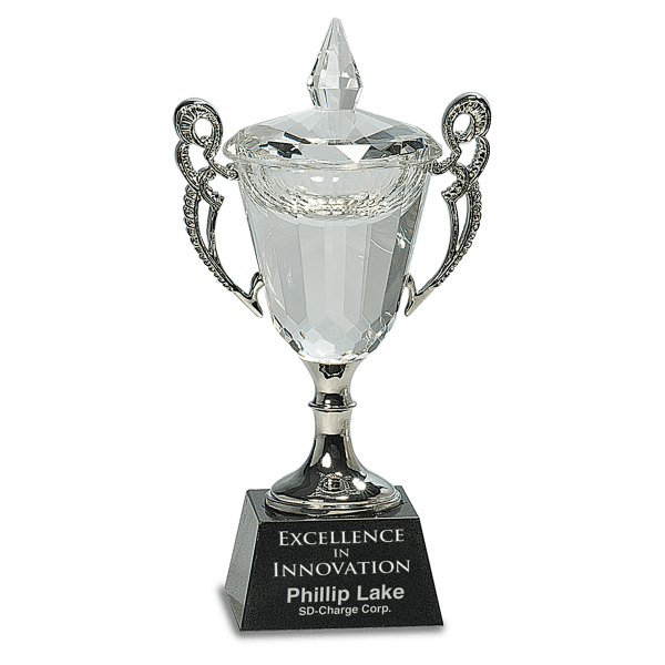 8″ Crystal Cup with Silver Handles and Stem