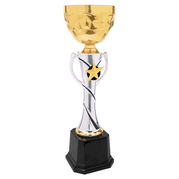14″ Silver/Gold Completed Metal Cup Trophy