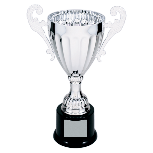 9 3/4″ Silver Completed Metal Cup Trophy on Plastic Base