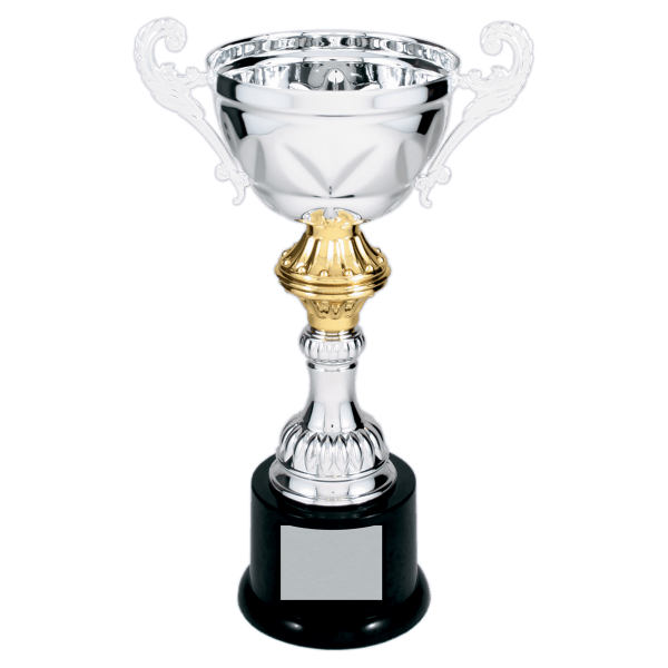 10″ Silver Completed Metal Cup Trophy on Plastic Base