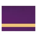 12" x 24" x .016" Purple LaserIT Brass Plated Steel