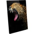 16" x 24" Semi-Gloss White ChromaLuxe Aluminum Photo Panel