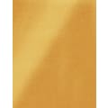 24" x 49" x 1/32" Gold Duets ADA Applique Plastic with 3M Adhesive