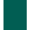 24" x 49" x 1/8" Evergreen Duets ADA Substrate Plastic