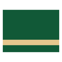 12" x 24" x .016" Green LaserIT Brass Plated Steel