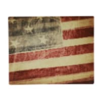 16" x 20" Matte Silver ChromaLuxe Aluminum Photo Panel
