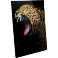 16" x 24" Semi-Gloss White ChromaLuxe Aluminum Photo Panel