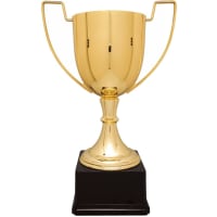 17 1/2" Gold Completed Zinc Cup Trophy on Plastic Base