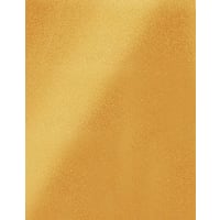 12" x 24" x 1/32" Gold Duets ADA Applique Plastic with 3M Adhesive