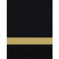 24" x 49" x .020" Black/Gold with 3M Adhesive Duets Flexible Contours Plastic