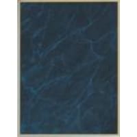 7" x 10" Blue Marble/Gold Brass Plated Steel Plaque Plate
