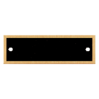 7/8" x 2 3/4" Black Laserable Brass Plate with Gold Border and Two Holes