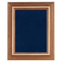 15" x 18" American Walnut Airflyte Frame with Gold Trim and Blue Velour Backing (Assembled)